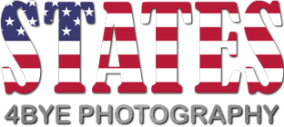 States Logo